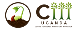 site logo transparent